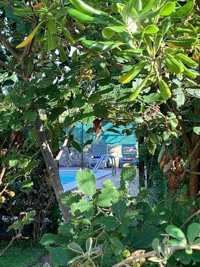A Due Passi Da Bed and Breakfast Aci SantʼAntonio